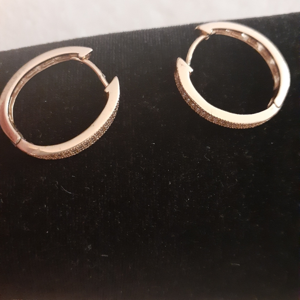 Pandora earings